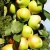 Яблоня БОЛЕРО колонновидная в Актобе